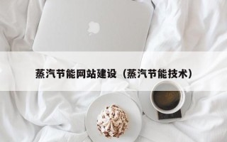 莒县蒸汽节能网站建设（蒸汽节能技术）